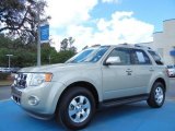 2011 Ford Escape Limited V6