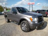 2013 Sterling Gray Metallic Ford F150 STX Regular Cab 4x4 #80290687