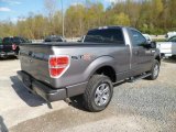 Sterling Gray Metallic Ford F150 in 2013