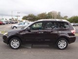 2013 Subaru Forester 2.5 X Touring Exterior