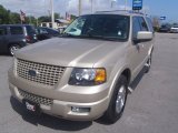 2005 Cashmere Tri Coat Metallic Ford Expedition Limited #80351383