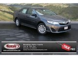 2013 Magnetic Gray Metallic Toyota Camry LE #80350885