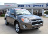 Magnetic Gray Metallic Toyota RAV4 in 2010