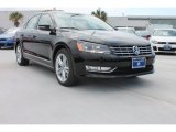 2013 Volkswagen Passat TDI SEL