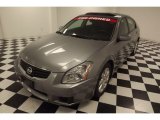 2008 Precision Gray Metallic Nissan Maxima 3.5 SE #80391809