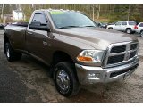 2010 Dodge Ram 3500 Austin Tan Pearl