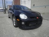2005 Black Dodge Neon SRT-4 #80425932