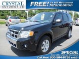 2009 Black Ford Escape Limited V6 4WD #80425728