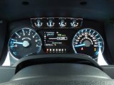 2013 Ford F150 Lariat SuperCrew 4x4 Gauges