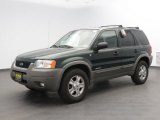 2002 Dark Highland Green Metallic Ford Escape XLT V6 4WD #80481149