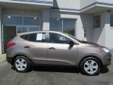Chai Bronze Hyundai Tucson in 2010