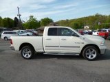 2010 Dodge Ram 1500 Big Horn Quad Cab 4x4 Exterior