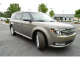 2013 Ford Flex SEL Front 3/4 View