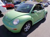 2004 Cyber Green Metallic Volkswagen New Beetle GLS 1.8T Convertible #80650984