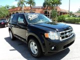 2009 Black Ford Escape XLT V6 #80650934