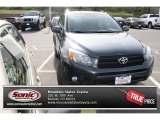 2007 Toyota RAV4 Sport 4WD