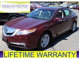 2009 Basque Red Pearl Acura TL 3.5 #80672066