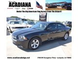 2013 Dodge Charger SE