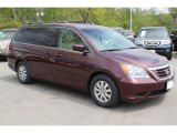 Dark Cherry Pearl Honda Odyssey in 2010