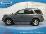 2012 Sterling Gray Metallic Ford Escape Limited V6 #80723001