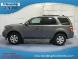 2012 Sterling Gray Metallic Ford Escape Limited V6 #80723000