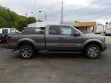 2013 Sterling Gray Metallic Ford F150 FX4 SuperCab 4x4 #80723056