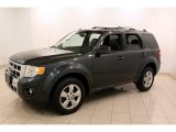 2009 Ford Escape Limited V6 4WD Front 3/4 View