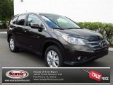 2013 Kona Coffee Metallic Honda CR-V EX-L #80784919