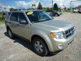 2010 Ford Escape XLT V6 Front 3/4 View