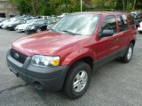 2006 Ford Escape XLS 4WD Front 3/4 View