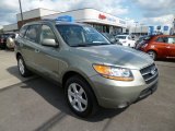 2009 Hyundai Santa Fe Limited 4WD