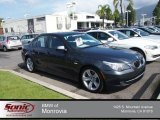 2010 Platinum Grey Metallic BMW 5 Series 528i Sedan #80838119