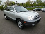 2006 Pewter Hyundai Santa Fe Limited 4WD #80895647