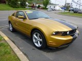Sunset Gold Metallic Ford Mustang in 2010