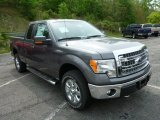 2013 Sterling Gray Metallic Ford F150 XLT SuperCab 4x4 #80895022