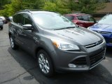 2013 Sterling Gray Metallic Ford Escape SEL 2.0L EcoBoost 4WD #80895016
