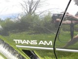 1986 Pontiac Firebird Trans Am Marks and Logos