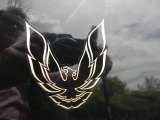 1986 Pontiac Firebird Trans Am Marks and Logos