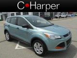 2013 Frosted Glass Metallic Ford Escape S #80948314