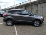 2013 Sterling Gray Metallic Ford Escape SEL 2.0L EcoBoost 4WD #80970383