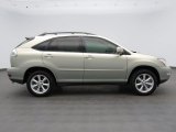 2009 Lexus RX 350 Exterior