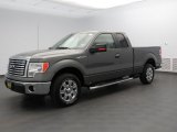 2010 Sterling Grey Metallic Ford F150 XLT SuperCab #81011977