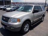 2003 Silver Birch Metallic Ford Expedition XLT #81011220