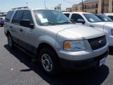 Silver Birch Metallic Ford Expedition in 2006