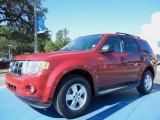 2010 Sangria Red Metallic Ford Escape XLT #81011288