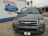 2013 Sterling Gray Ford Expedition XLT #81011165