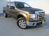 2009 Stone Green Metallic Ford F150 XLT SuperCrew 4x4 #81075933