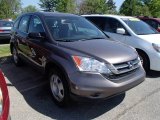 2010 Urban Titanium Metallic Honda CR-V LX AWD #81128088