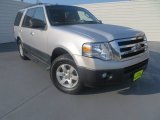2011 Ingot Silver Metallic Ford Expedition XLT #81127810