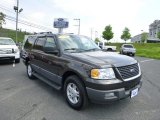 2006 Dark Stone Metallic Ford Expedition XLT 4x4 #81170855